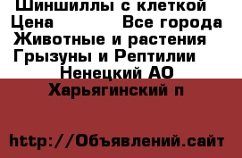 Шиншиллы с клеткой › Цена ­ 8 000 - Все города Животные и растения » Грызуны и Рептилии   . Ненецкий АО,Харьягинский п.